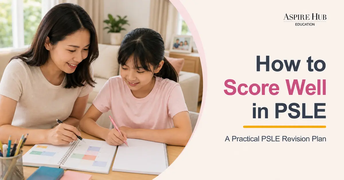 Primary 6 student following a revision plan to score well in PSLE
