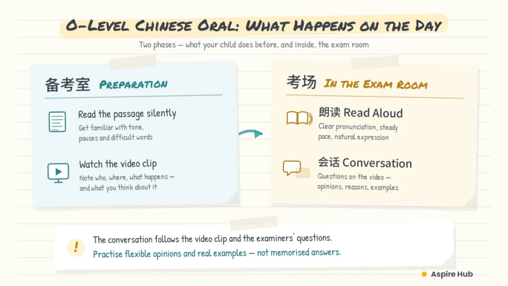 O Level Chinese Tuition: What Parents Should Know Before Sec 4